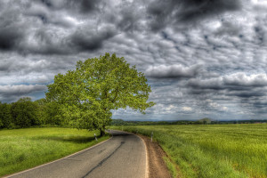 从赛场到指尖,电竞短视频重新定义“游戏玩家”